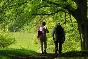 Heerlijk_wandelen-800x430-1